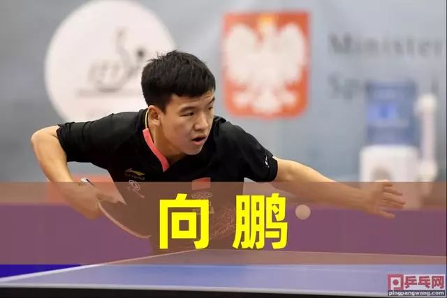 沉浸式艺术 沉浸式艺术