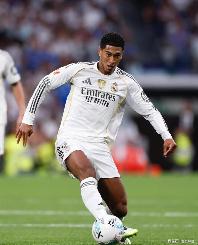 高的回合质 高的回合质