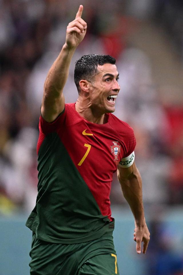 术再现与动 术再现与动